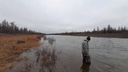 Мониторинг водных биологических ресурсов в зоне деятельности АЛРОСА