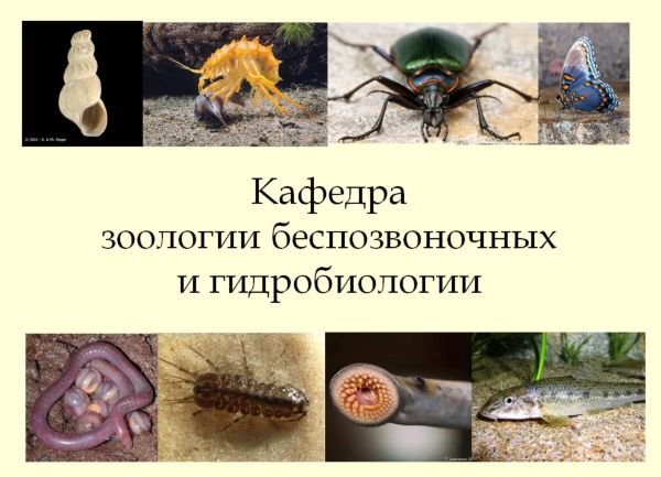 День кафедры зоологии беспозвоночных и гидробиологии
