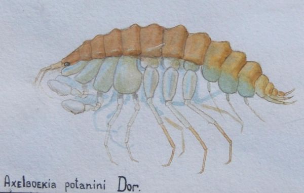 5094