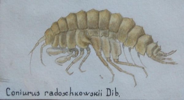 5120