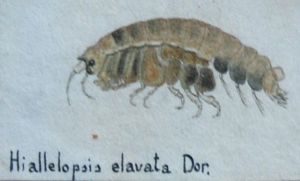 5121